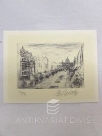 Vašáková, Dagmar, Václavské náměstí, 0