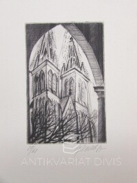 Vašáková, Dagmar, Věže katedrály sv. Víta, 0