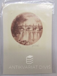 Vašáková, Dagmar, Karlův most ze Střeleckého ostrova, 0