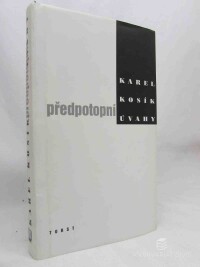 Kosík, Karel, Předpotopní úvahy, 1997