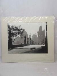 Hynek, M., Karlův most 1, 0