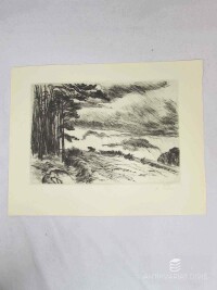 Štika, Karel, Krajem kamenitým: Kraj lesa v dešti, 1949