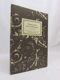 Graul, Richard, Grünewalds Handzeichnungen , 0