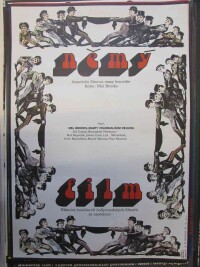 Grygar, Milan, Němý film, 1979