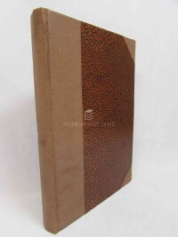 Remarque, Erich Maria, Na západní frontě klid, 1929