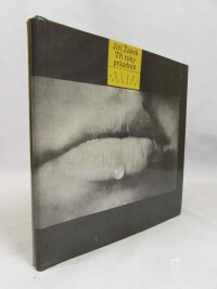 Žáček, Jiří, Tři roky prázdnin, 1982