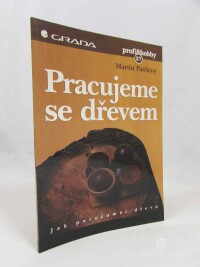 Patřičný, Martin, Pracujeme se dřevem: Jak porozumět dřevu, 1998