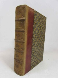 Rais, Karel Václav, Zapadlí vlastenci, 1919