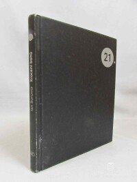 Buruma, Ian, Krocení bohů: Náboženství a demokracie na třech kontinentech, 2012