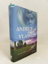Byrneová, Lorna, Andělé v mých vlasech: Skutečný příběh moderní irské mystičky, 2010