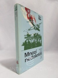 Loucký, František, Mnozí nedoletěli, 1989