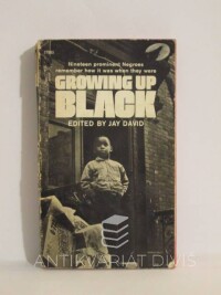 David, Jay, Growing Up Black, 1969