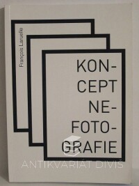 Laruelle, François, Koncept nefotografie, 2012