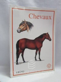 Kholová, Helena, Chevaux, 1997