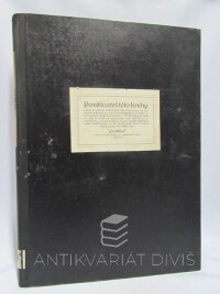 kolektiv, autorů, Pondělní politika, 1918