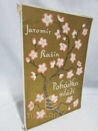 Rašín, Jaromír, Pohádka mládí, 1928