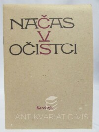 Sýs, Karel, Načas v očistci, 1993