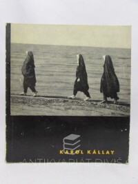 Kára, Lubor, Karol Kállay, 1963