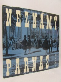 Fryčer, Jaroslav, Neznámý Parnas, 1988