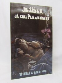 kolektiv, autorů, Ježíšku, já chci Plamenomet - To nej z roku 2005, 2008