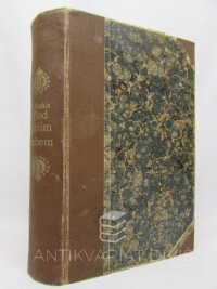 Lejkin, Nikolaj Aleksandrovič, Pod jižním nebem: Humoristický popis cesty manželů Nikolaje Ivanoviče a Glafiry Semenovny Ivanových do Biarritze a Madridu, 0