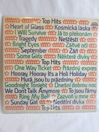 kolektiv, autorů, Top Hits, 1980