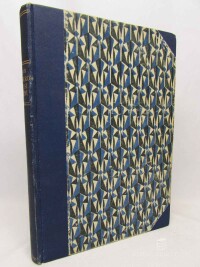 Čapek, Karel, Čapek, Josef, Nejskromnější umění, Boží muka, 1920