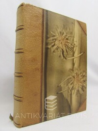 Neruda, Jan, Drobné klepy, 1924