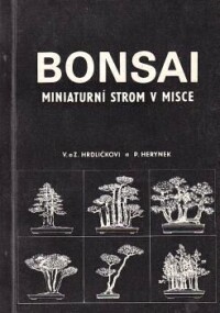 Hrdličková, Věnceslava, Bonsai, miniaturní strom v misce, 1985
